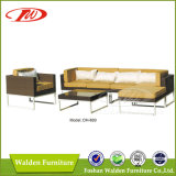Patio Furniture Sofa (DH-869)