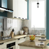 Modern Style White and Sky Blue PVC Kitchen Cabinets