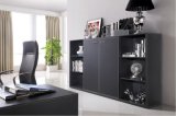 New Design High Qualitystorage Cabinet Bookcase (C3)