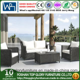 Quickest Delivery Time Customized Design Outdoor Rattan Sofa, Cheap Rattan Garden Sofa (TG-1393)