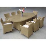8 Seater Rattan Home Dining Set (DS-06027)