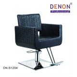 New Design Hydraulic Hair Salon Styling Chair (DN. B1204)