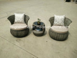 PE Rattan Wicker Furniture/Hotel Furniture/Outdoor Garden Furniture (BP-232R)