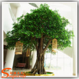 New Design Garden Decoration Artificial Ficus Tree Banyan Tree