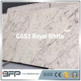 Luxury Royal White Granite Stone Table Countertop for Kitchen, Vanity