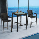 Popular Design Outdoor Garden Furniture UV-Resistant Rattan Bar Set by Chair &Table (YT391)