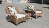 High Quality Hand-Made Wicker Garden Set/Outdoor Leisure Furniture (BP-237)