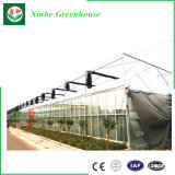 Intelligent Multi Span Glass Greenhouse for Agriculture