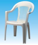 Plastic Chair/Beach Chair (0005)