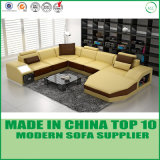 European Home Furniture Divaani Leather Sofa