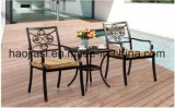 Outdoor /Rattan / Garden / Patio/ Hotel Furniture Cast Aluminum Chair & Table Set (HS 3193C & HS 7302ET)