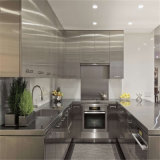 Stainless Steel Kitchen Cabinet with Blum Underbox Slider