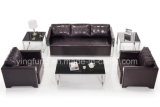 Modern Classic Office Leather Sofa with Stainless Frame (SF-619B)