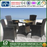 Garden Patio Furniture New Wicker Outdoor Indoor Dining Table and Chair Set (TG-1057)