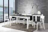 6 Seater Glass Dining Table Dining Room Furniture (CT-B108)