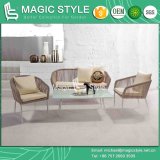 Special Weaving Sofa P. E Wicker Sofa New Design Sofa (Magic Style)