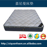 Euro Top Style Plush Top Thick Comfortable Spring Mattress