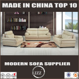 Contemporary Genuine Leather Sofa (Lz551)