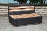 Outdoor Teak 2-Seat Rattan/Wicker Chair (LN-3001-2)