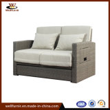 Regular Multi Function Rattan Wicker Double Sofa Garden Furniture (WF050585)