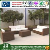 Modern Rattan Sofa Patio Furniture Garden Furniture (TG-JW14)