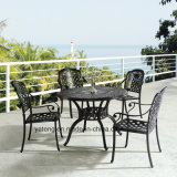 Dark Color Cast Aluminum Furniture Garden Dining Set /Coffee Set with Chair& Table (YT916)