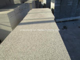 New G603 Grey White Granite for Floor Tile or Paving Stone