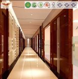Corridor Wall for Modern 5 Star Hampton in Hospitality Hotel Furniture