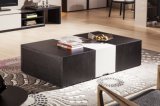Modern Style Functional Wooden Coffee Table (CJ-2032)