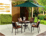 Outdoor /Rattan / Garden / Patio /Hotel Furniture Cast Aluminum Chair & Table Set (HS3003C & HS 6117DT)
