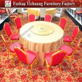 Dining Table and Chair for Events Yc-Zl22-30