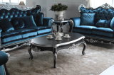 Emperor Furniture Antique Luxury Living Room Wood Coffee Table (BA-1809)