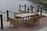 Garden Furniture Bistro Chair & Table Set HS30330c&HS20118dt