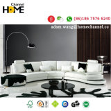 2017 Hot-Selling Modern White Leather Sofa with Chaise (HC1069)