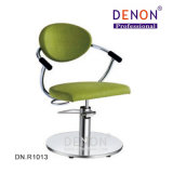 New Design Hydraulic Hair Salon Styling Chair (DN. R1013)