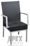 Garden Furniture Rattan Furniture Outdoor Chair (AS1032AR)