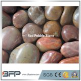 Red Pebble Stone for Decoration