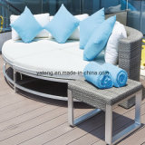 High Quality Aluminum PE-Rattan Outdoor Furniture Hotel Furniture Pool Set