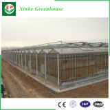 Electric Glass Greenhouse with All Systems