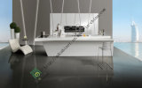 Modern Hight Glossy Kitchen Cabinets (zs-204)
