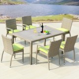 Patio Garden Home Hotel Office Aluminum Plastic Wood Wicker Arm Chair and Dining Table (J818-160)