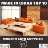 Living Room Furniture Which Best Sale in Australia Feather Leather Sofa