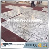 Natural Stone Arabescato White Marble--Pre-Assemble and Reliable Service