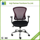Excellent Quality Elegant Modern Designer Office Massage Chair (Tokage)