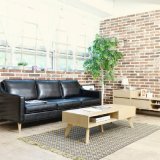 Nordic Style Leisure Living Room Coffee Leather Sofa