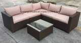 Fashion Tempered Steel Rattan Table Sofa Set