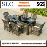 Best Selling Outdoor Rattan Furniture (SC-B8960)