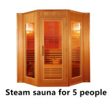 Easily Assembled Steam Sauna Rooms for 5 People