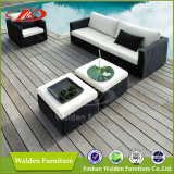 Wicker Furniture, Rattan Sofa (DH-8640)