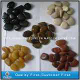 Polished Black, White, Yellow and Red Pebbles Stone